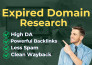 do high authority expired domain name research